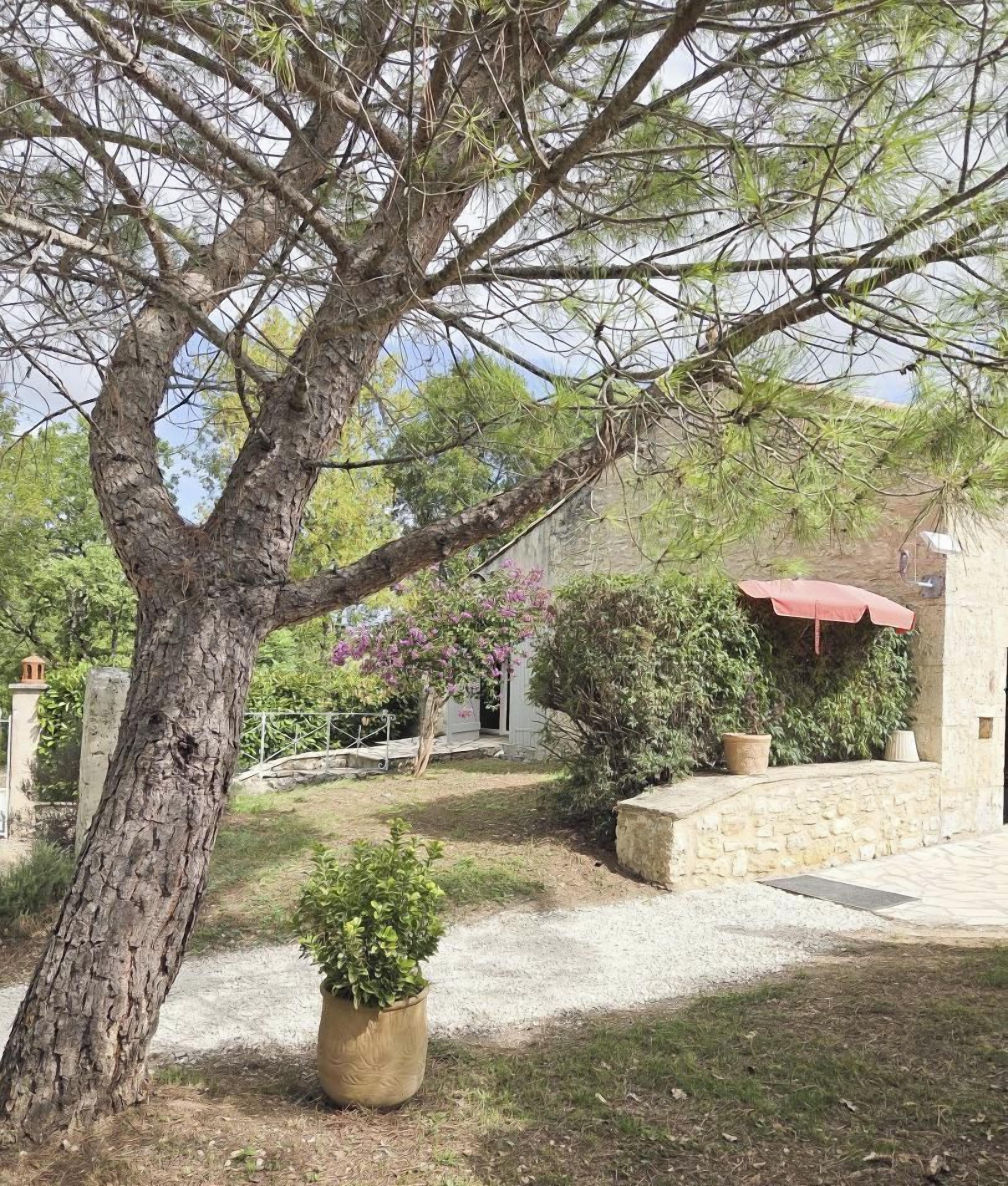 A stone building with a red awning, surrounded by a gravel path and a large tree.