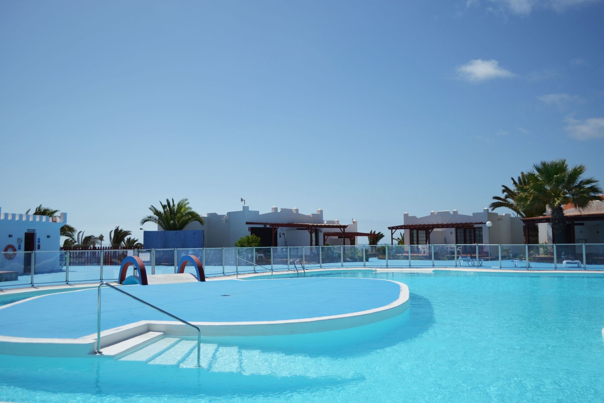 A swimming pool with a clear blue water surface, surrounded by a fence and palm trees.