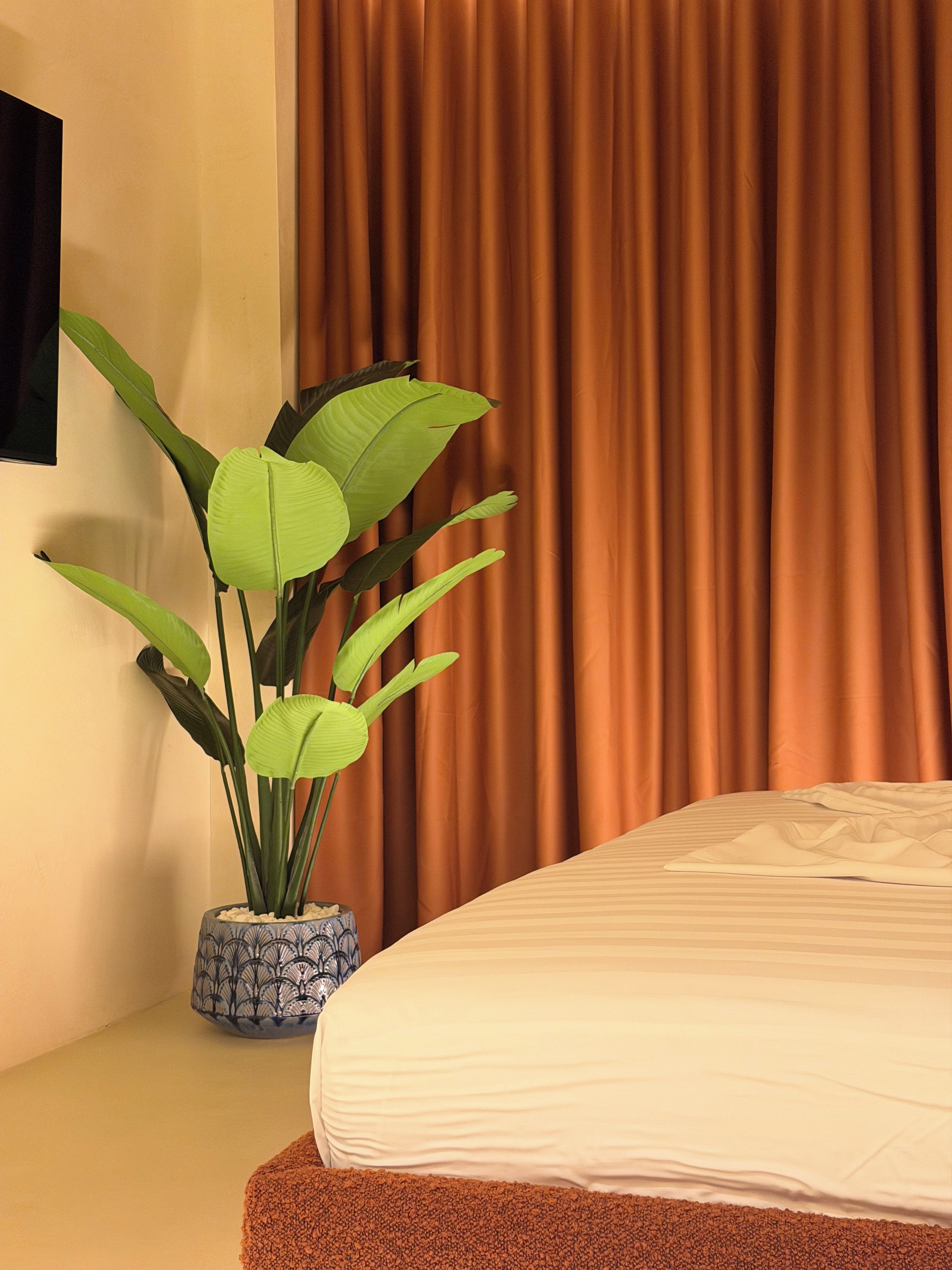 Una habitación de hotel con cama, una planta en maceta y cortinas.
