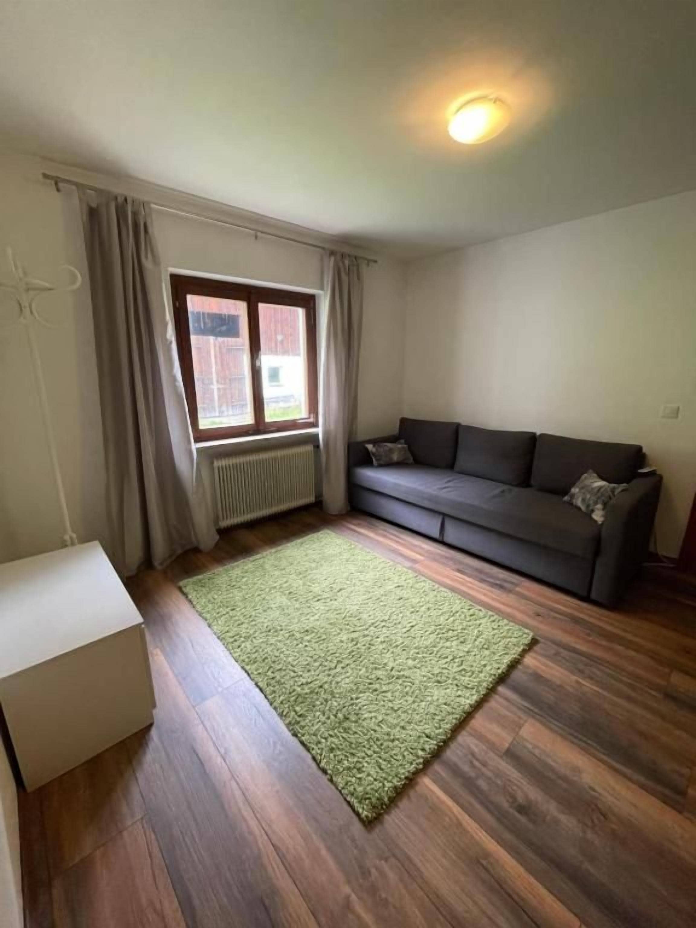 Een kamer met een grijze bank, een groen vloerkleed en een raam met gordijnen.
