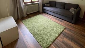 Een kamer met een grijze bank, een groen vloerkleed en een raam met gordijnen.
