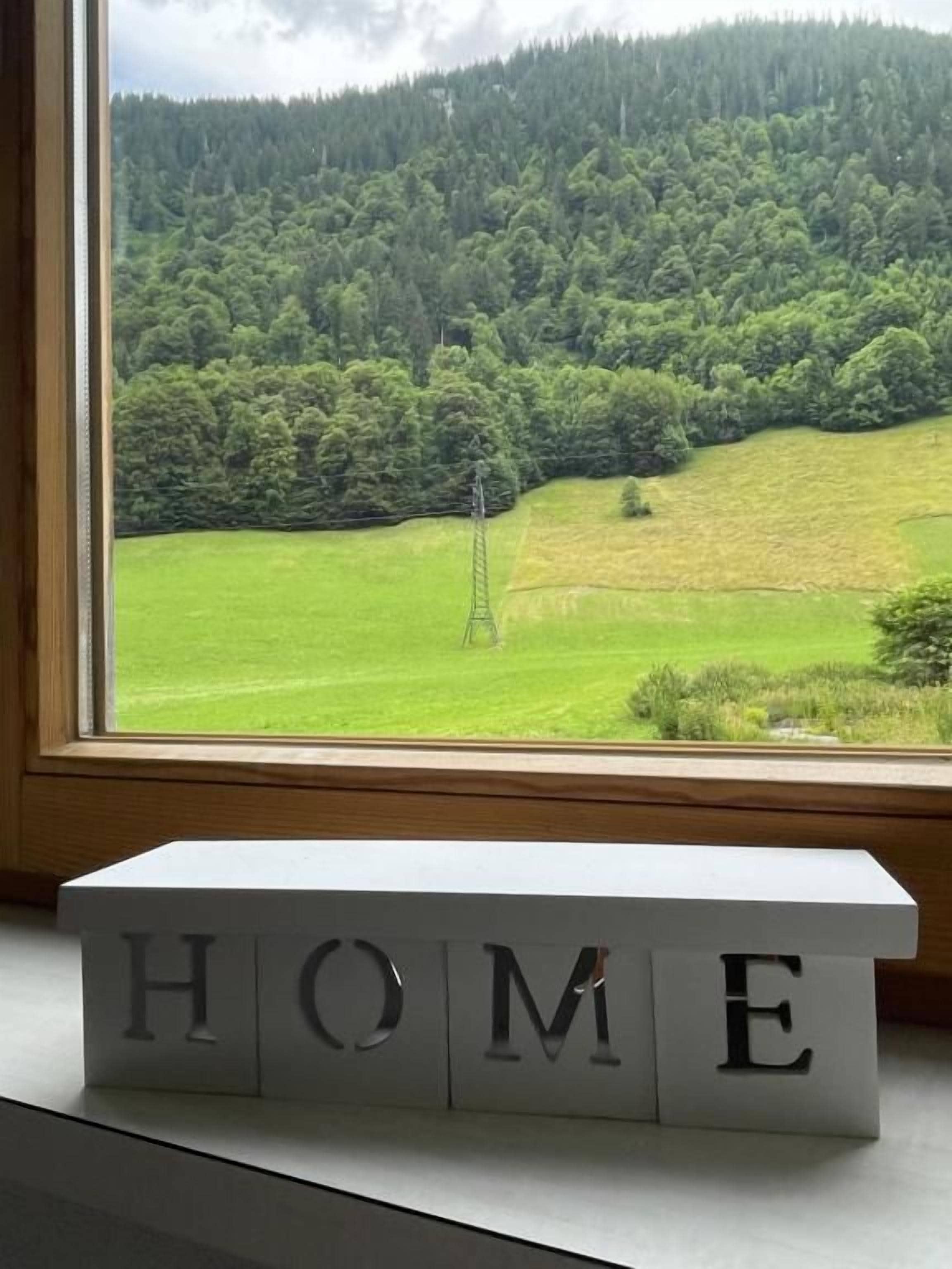 A window with a view of a green landscape, a white block with the word 'HOME' on it, and a wooden window frame.