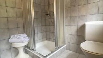 Een badkamer met een douche met glazen wand, een toilet en een wastafel.