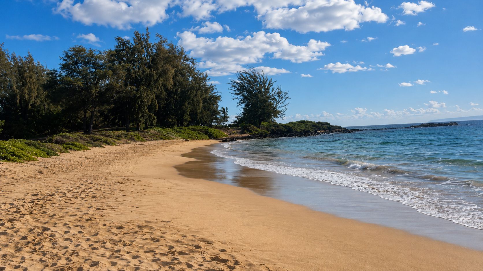 A sandy beach with gentle waves, a clear sky, and dense greenery in the background.