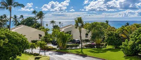 Un resort con una entrada curva, palmeras y vista al océano.