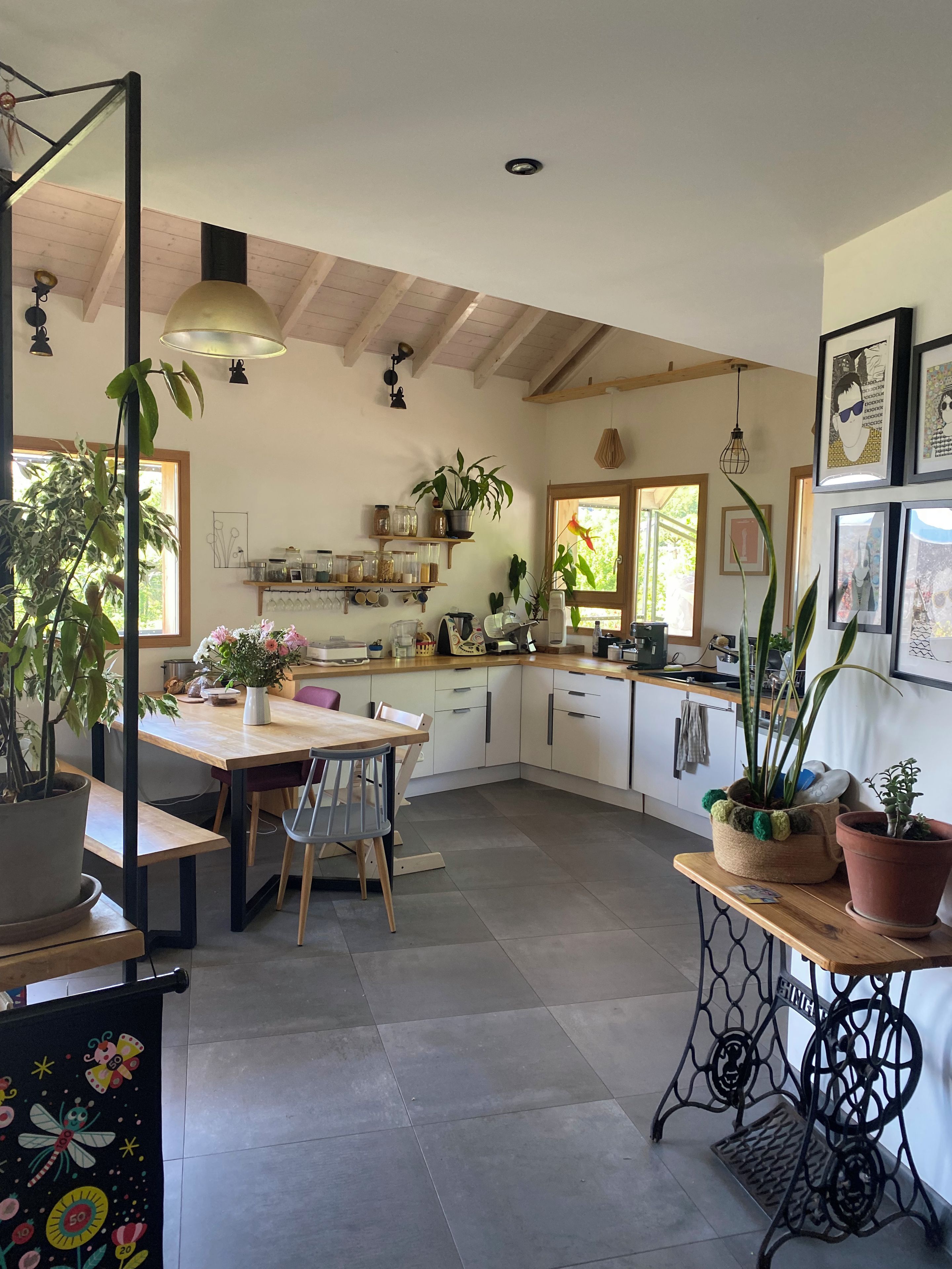 Una cocina con mesa de madera, sillas, plantas en macetas y una lámpara colgante.
