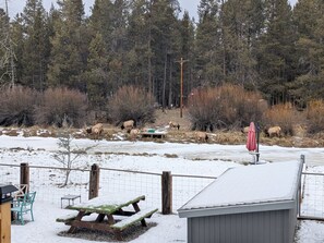 A fenced outdoor area with a picnic table and a shed, surrounded by a snowy landscape and a forest. - Dog friendly 3bd near Sunriver w/ large deck, chef's kitchen, and waterfront (Bend)