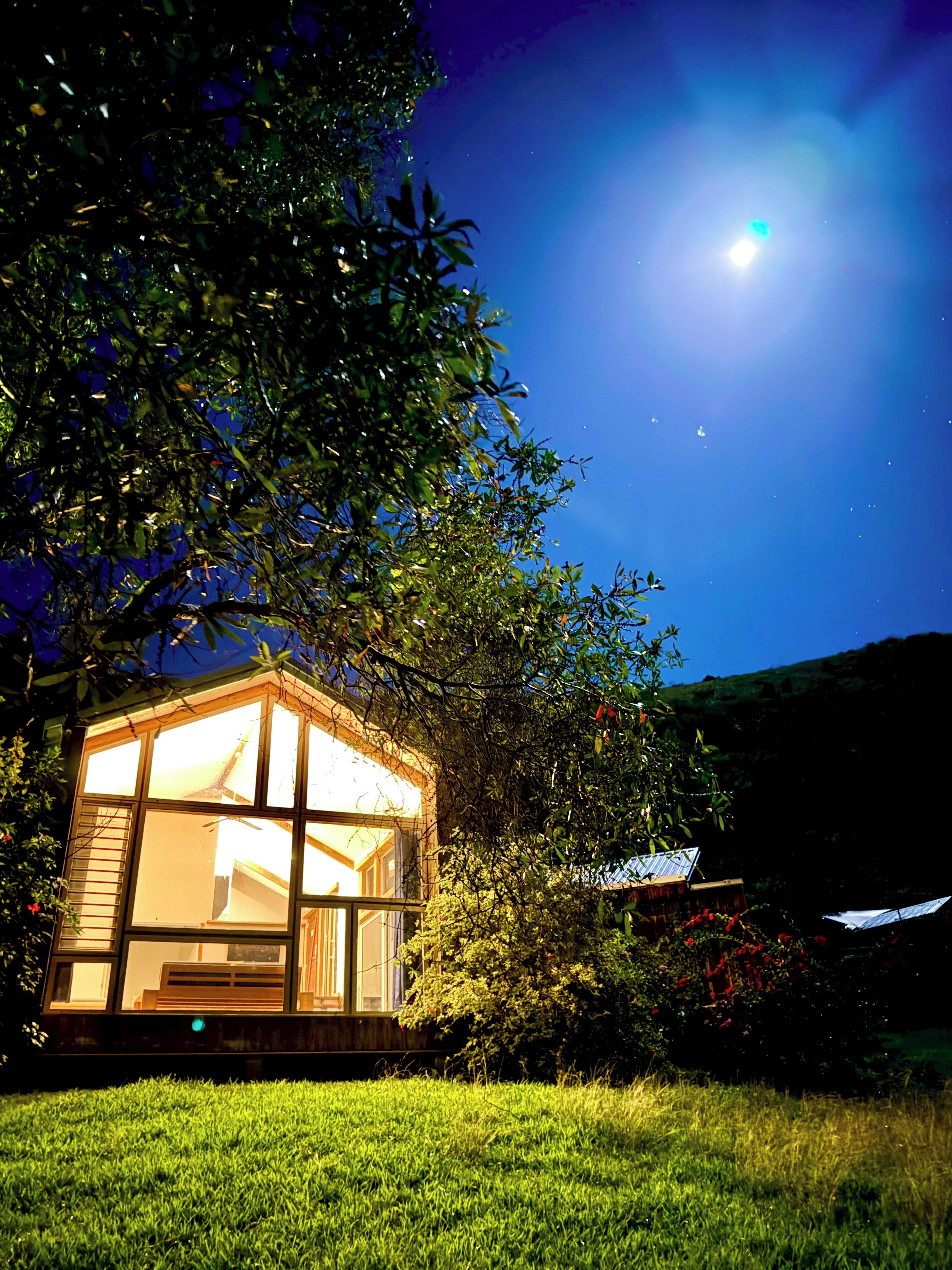 A small, illuminated house with a glass facade, surrounded by lush greenery and a clear night sky.