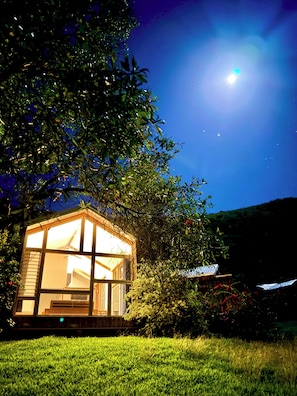 Una pequeña casa iluminada con fachada de vidrio, rodeada de abundante vegetación y un cielo nocturno despejado.