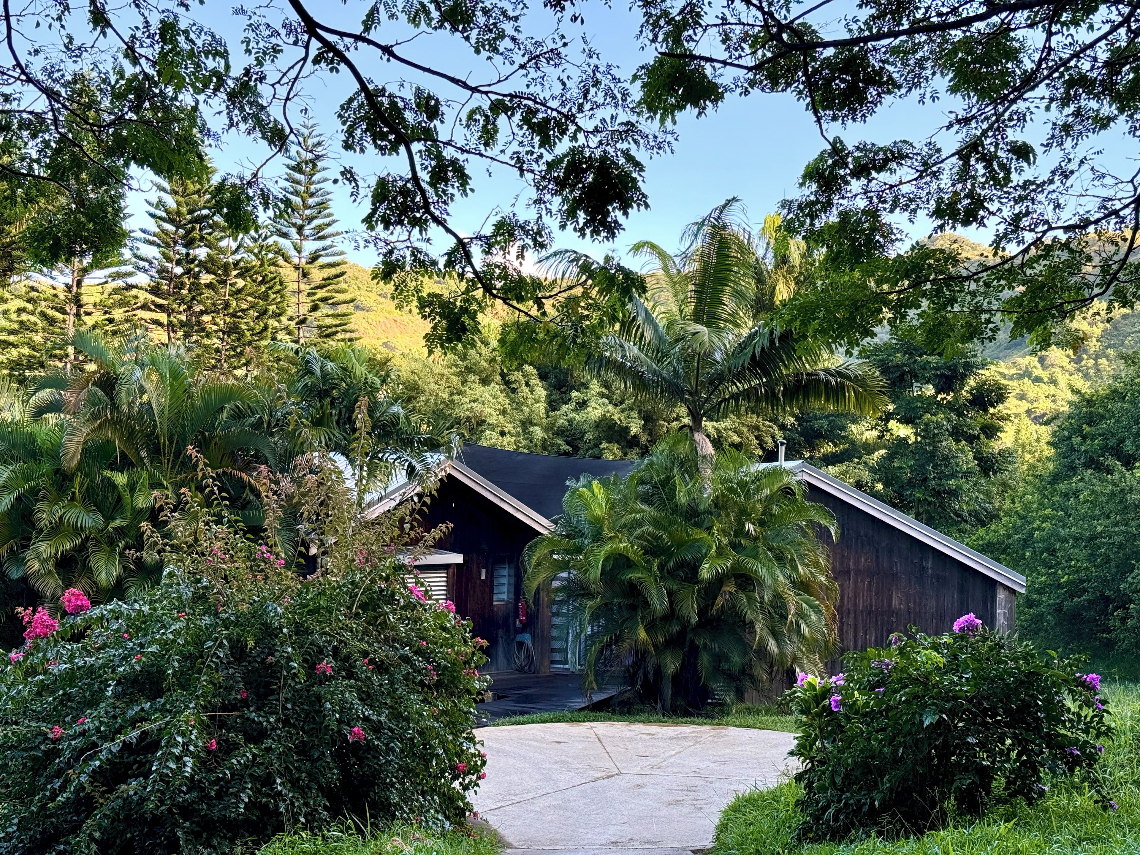 A rustic wooden cabin surrounded by lush greenery and flowering plants.