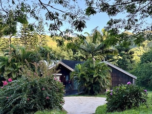 A rustic wooden cabin surrounded by lush greenery and flowering plants.