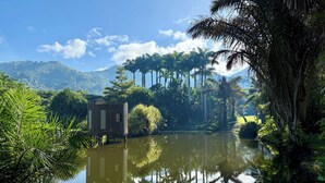 Um cenário tranquilo à beira do lago com uma estrutura de madeira, rodeada por vegetação exuberante e palmeiras.