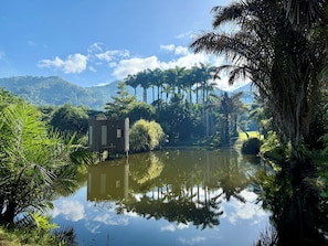 Un entorno tranquilo junto al lago, con una estructura de madera, rodeado de exuberante vegetación y palmeras.