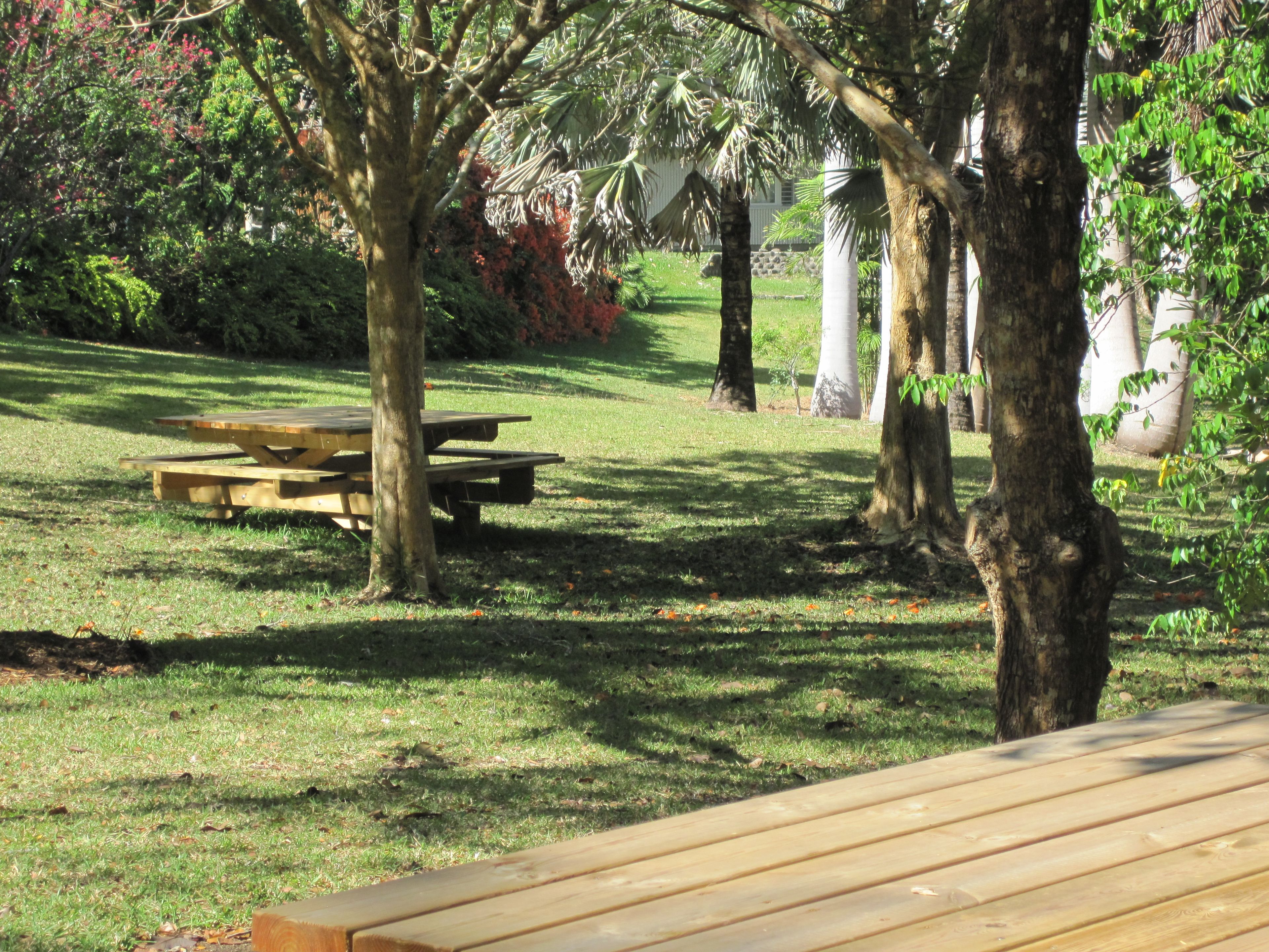 Un parc avec des tables de pique-nique et des arbres.