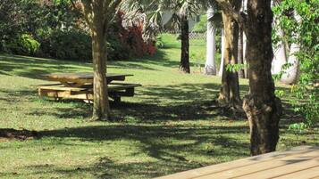 Un parc avec des tables de pique-nique et des arbres.