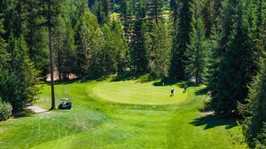 Ein Golfplatz, umgeben von dichtem Wald.