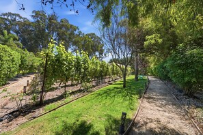 Un giardino curato con diversi alberi e arbusti, un vialetto in ghiaia e una zona erbosa.