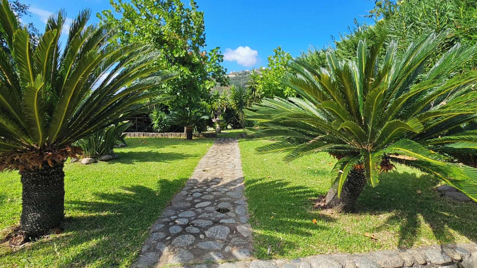 Un sendero serpentea por un jardín con palmeras y un camino de piedra.