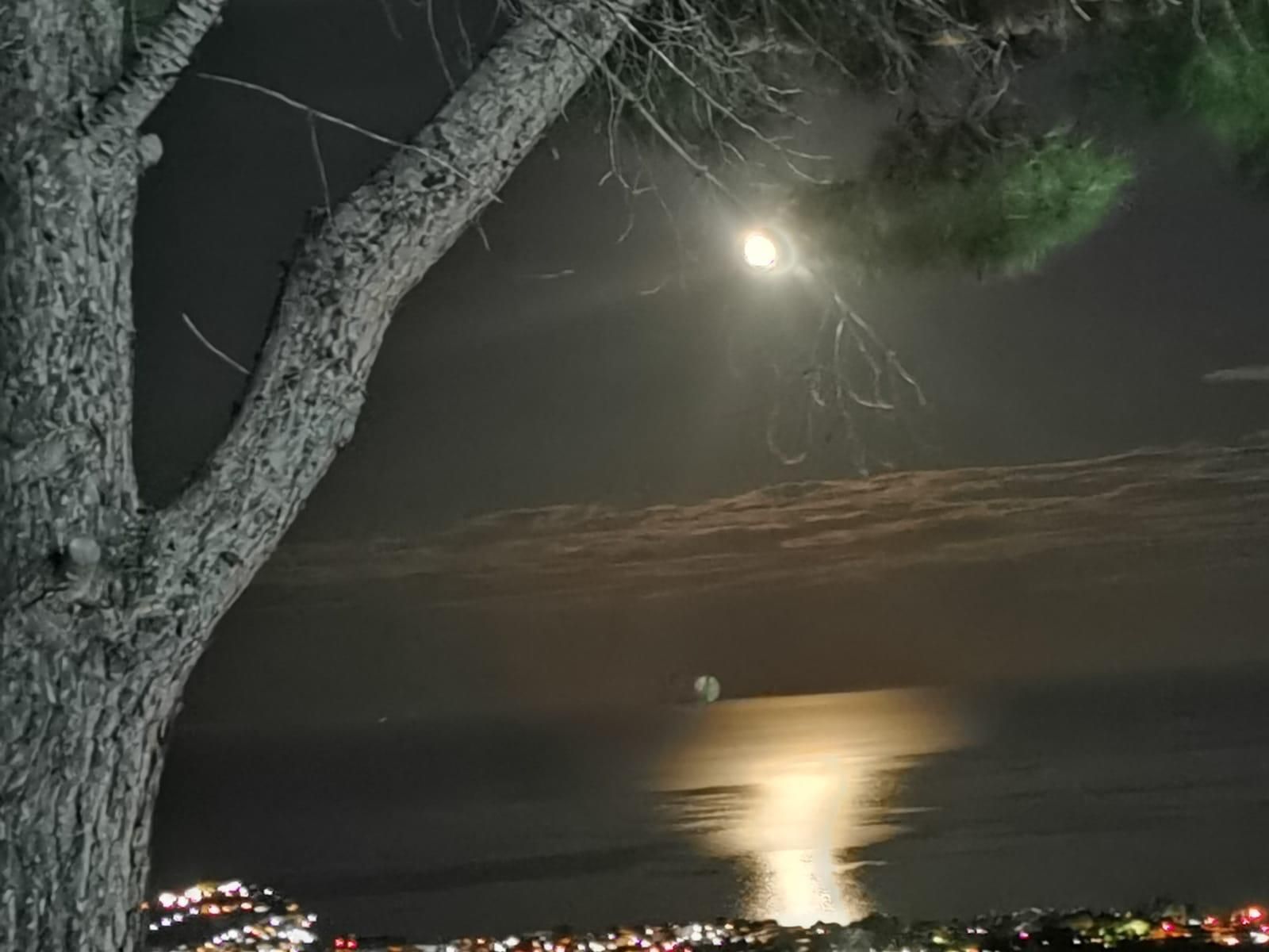 Nachtansicht einer Küstenregion, mit einem Baum links, einem hellen Mond am Himmel und einer Stadtansicht, deren Lichter sich im Wasser spiegeln.