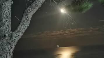Nachtansicht einer Küstenregion, mit einem Baum links, einem hellen Mond am Himmel und einer Stadtansicht, deren Lichter sich im Wasser spiegeln.