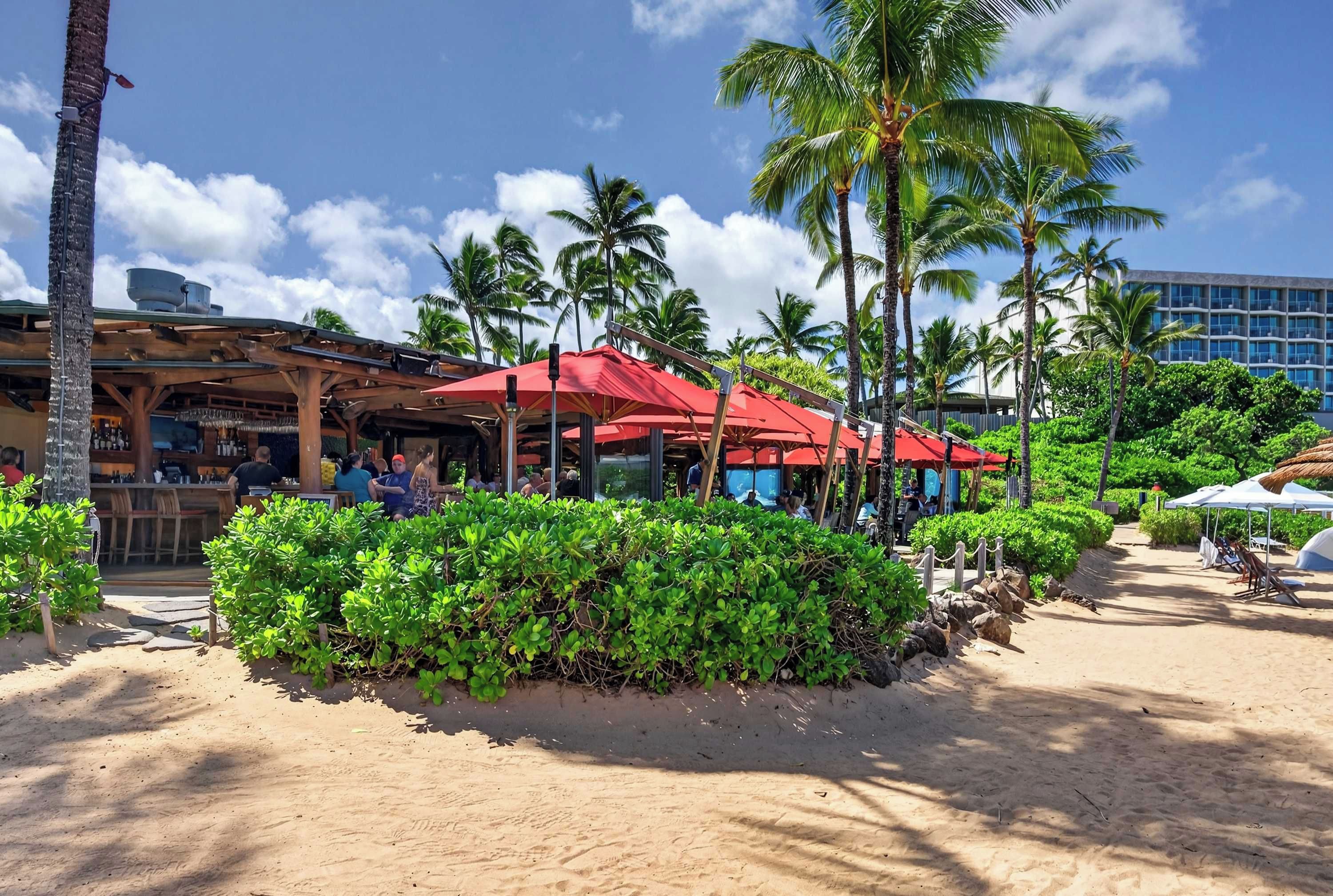 A beachfront bar area with red umbrellas, palm trees, and a sandy path.