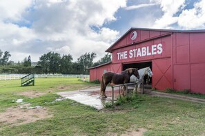 Un granero rojo con la inscripción 'THE STABLES', dos caballos en su interior y una escalera verde que sube a la entrada.