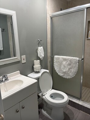 Een badkamer met toilet, wastafel, spiegel en douchecabine.