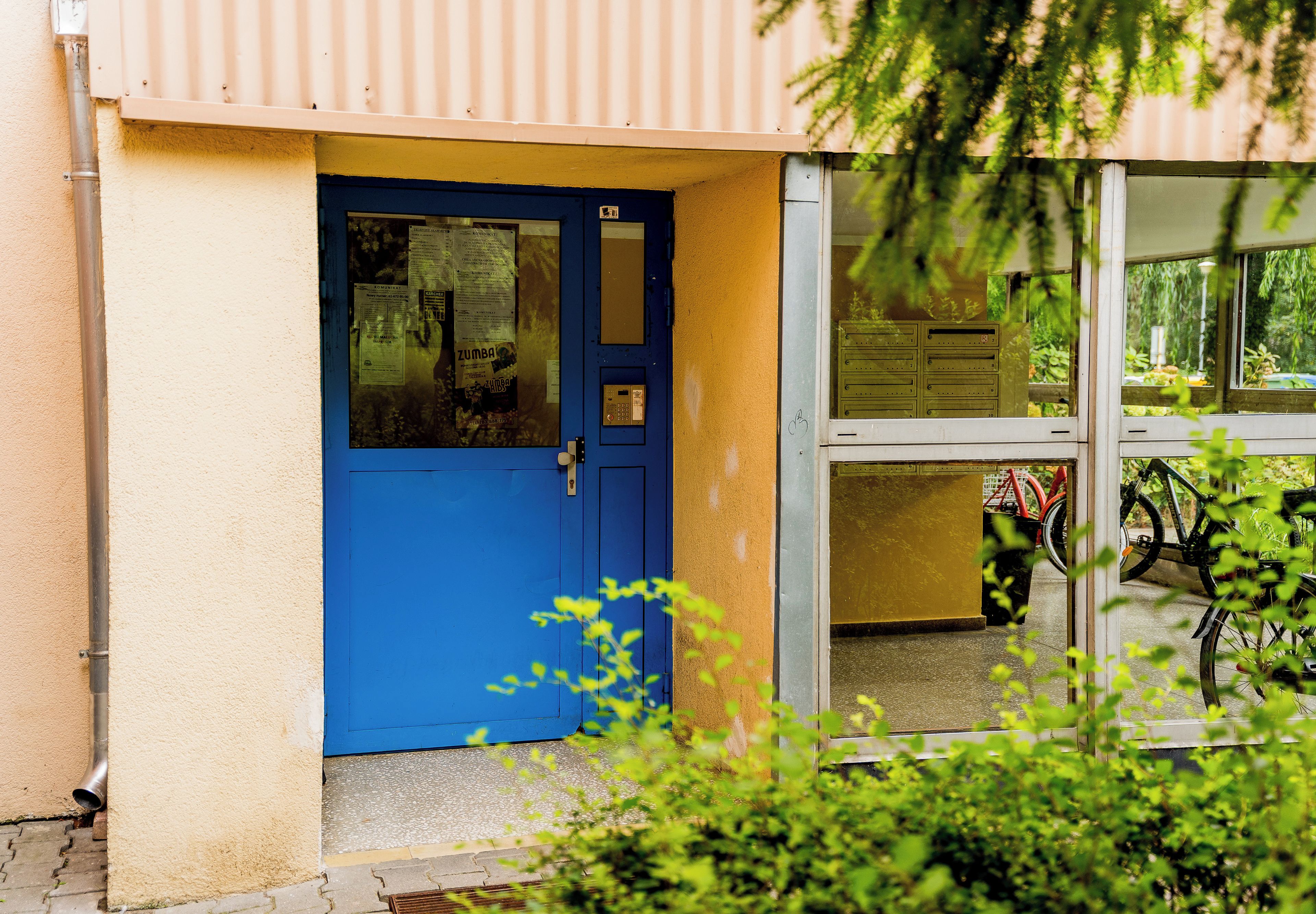 A blue door with a keyhole, a mailbox, and a glass door leading to a room with bicycles inside.