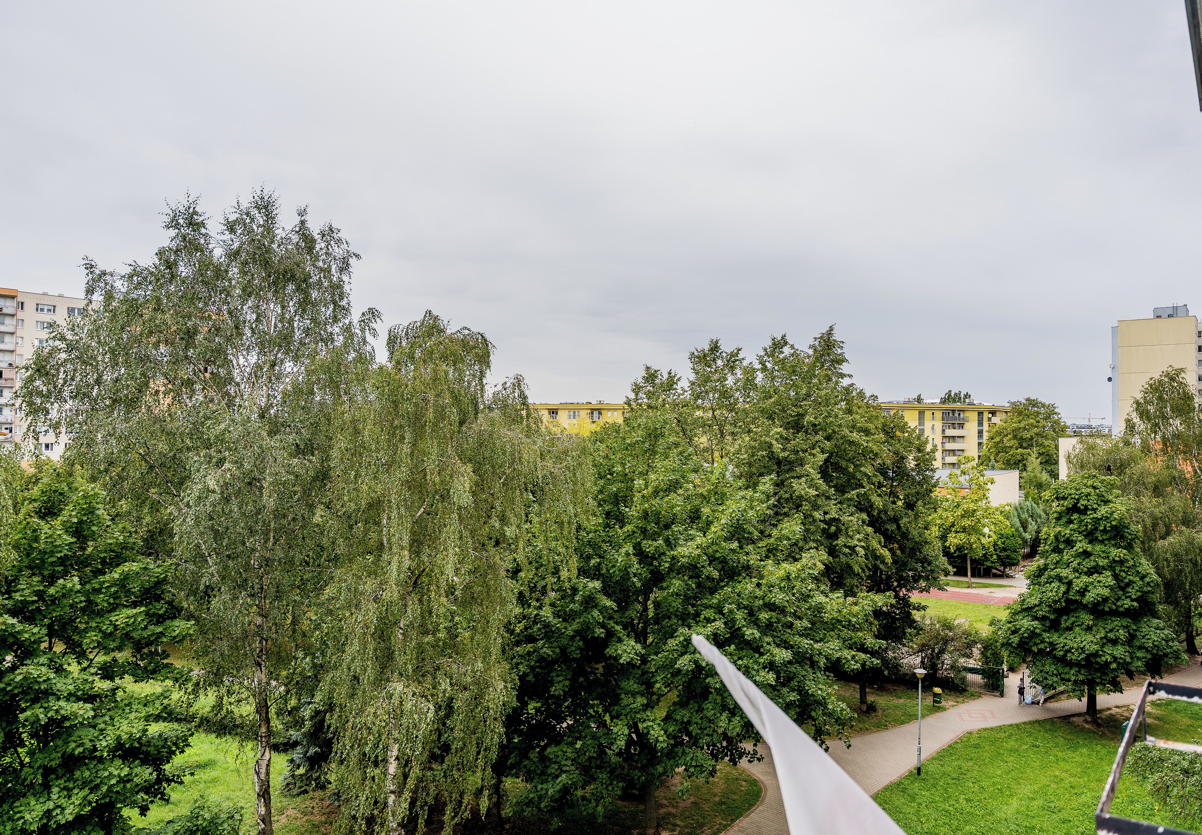 A park with trees and a pathway.