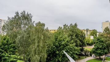 A park with trees and a pathway.
