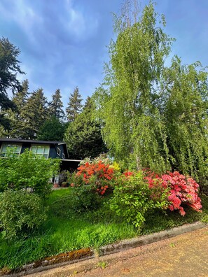 Zona residencial amb una casa, vegetació abundant i diverses espècies d'arbres.