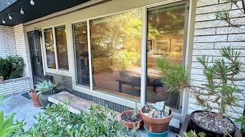 A modern building with large windows, outdoor plants, and a brick exterior.