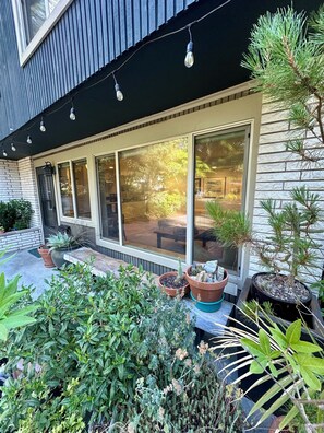 A modern building with large windows, outdoor plants, and a brick exterior.