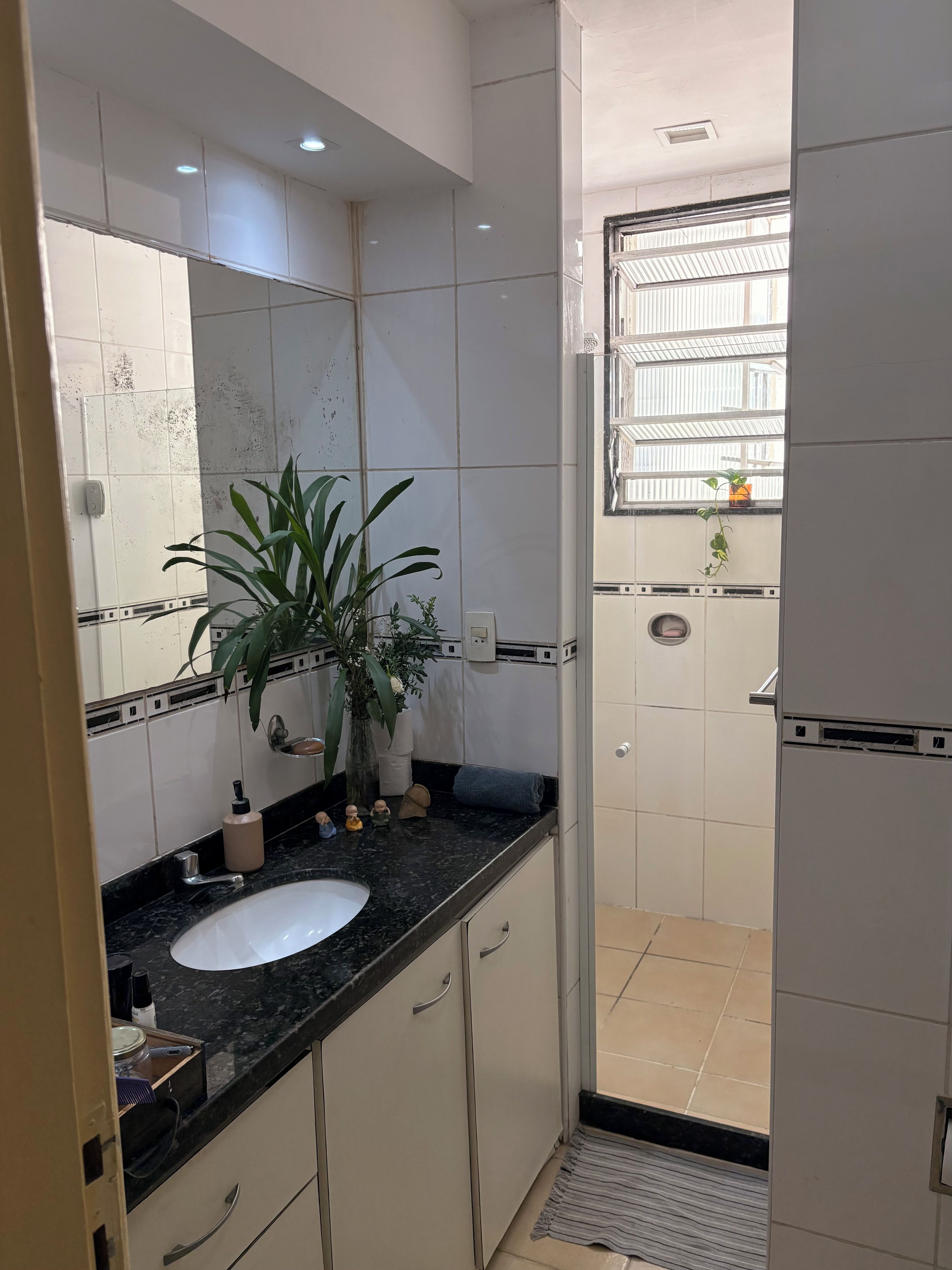 A bathroom with a white sink, a mirror, a potted plant, and a shower area.