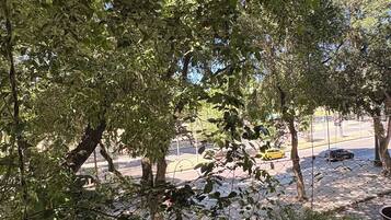 Área externa coberta com parede curva, planta em vaso e vista para a rua com carros.