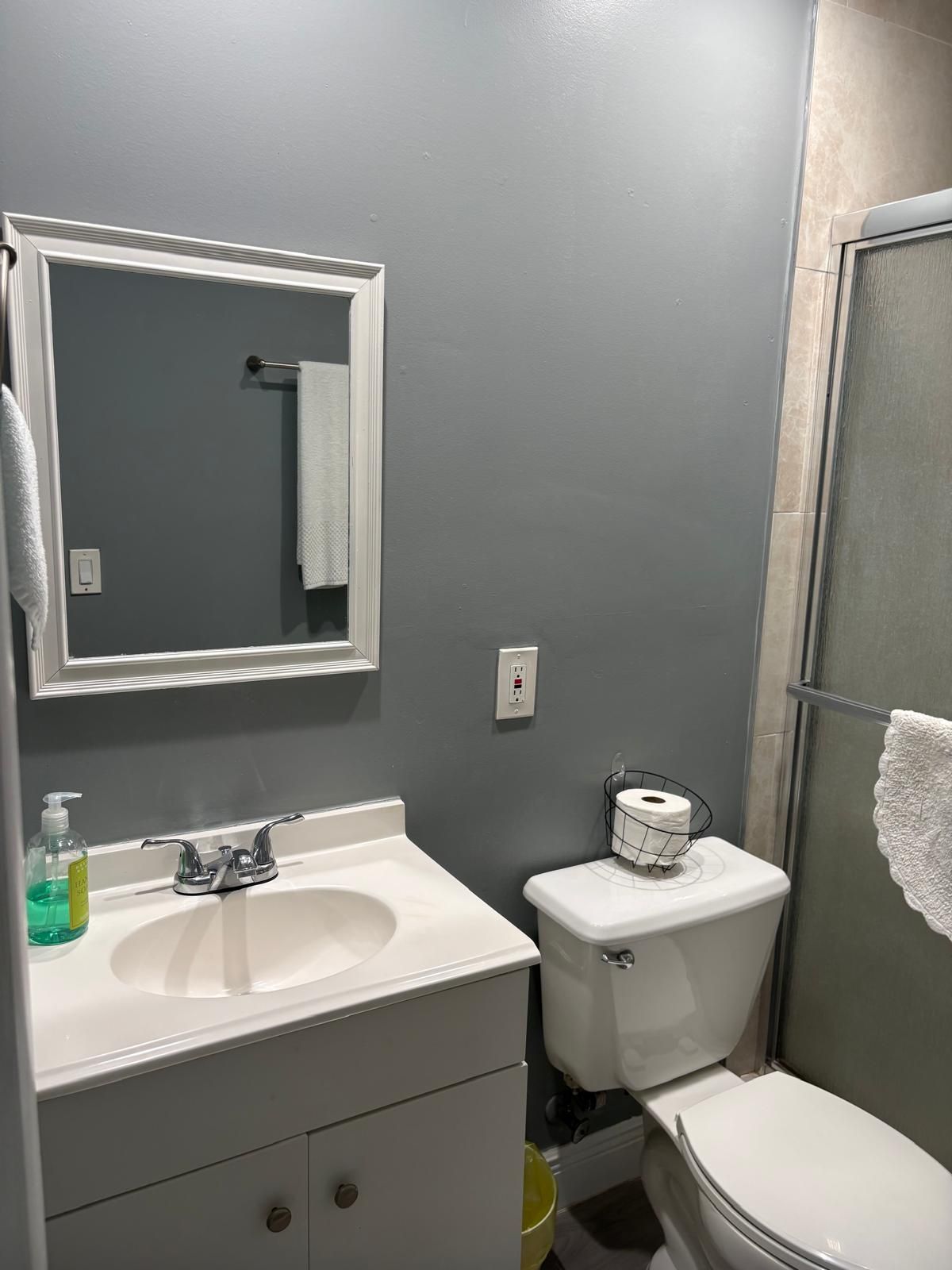 Hair dryer, towels, soap, toilet paper