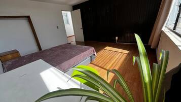 Una habitación con cama, ventana, radiador y una planta.