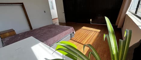 A room with a bed, a window, a radiator, and a plant.