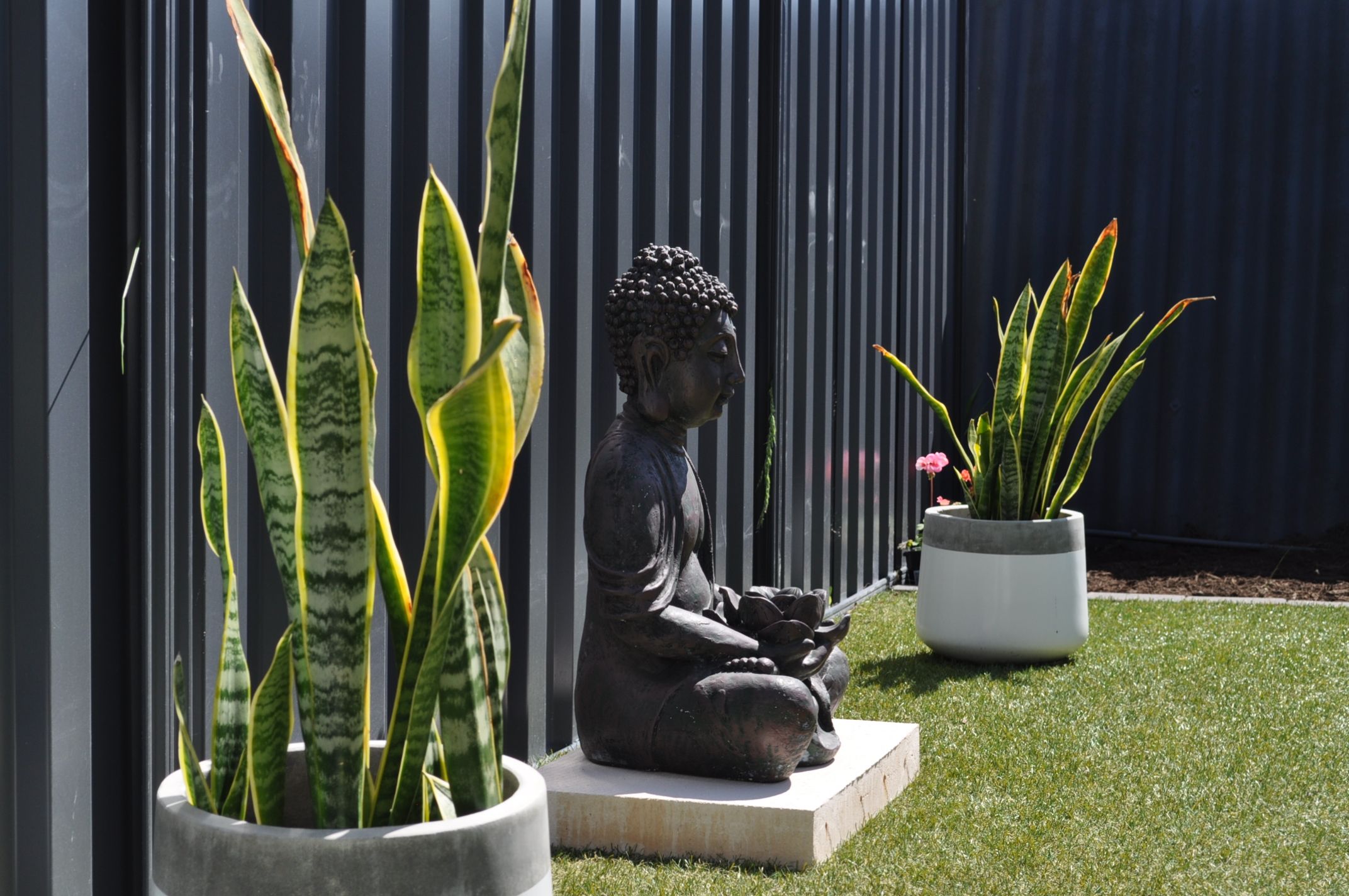 A garden with a Buddha statue, two potted plants, and a fence.