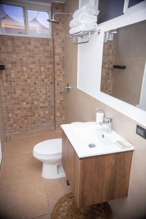 Un bagno con doccia, WC e lavandino.