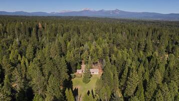 A forested area with a small building surrounded by dense trees.
