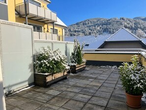 Eine Dachterrasse mit Blumentöpfen und Blick auf schneebedeckte Berge.