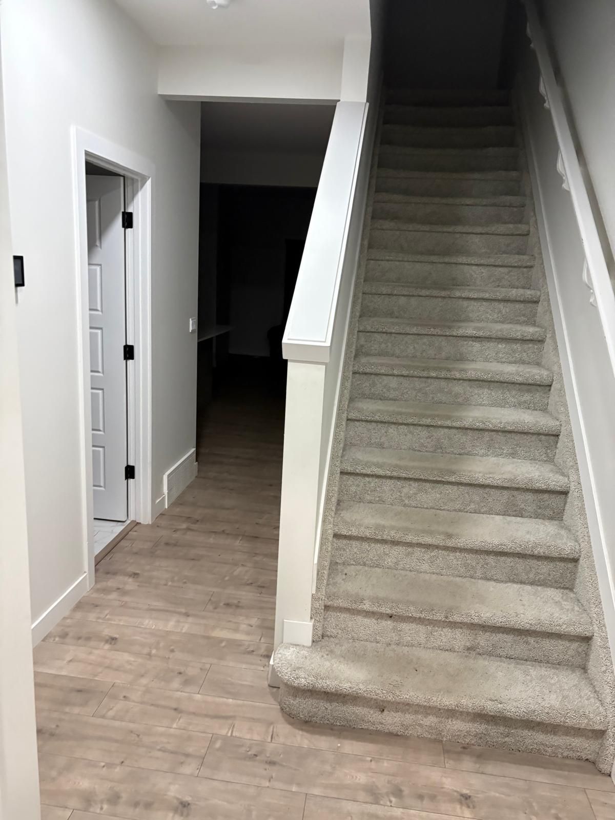 A staircase with carpeted steps leading to a dark room.