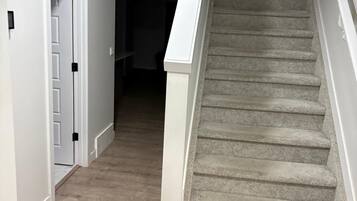 A staircase with carpeted steps leading to a dark room.