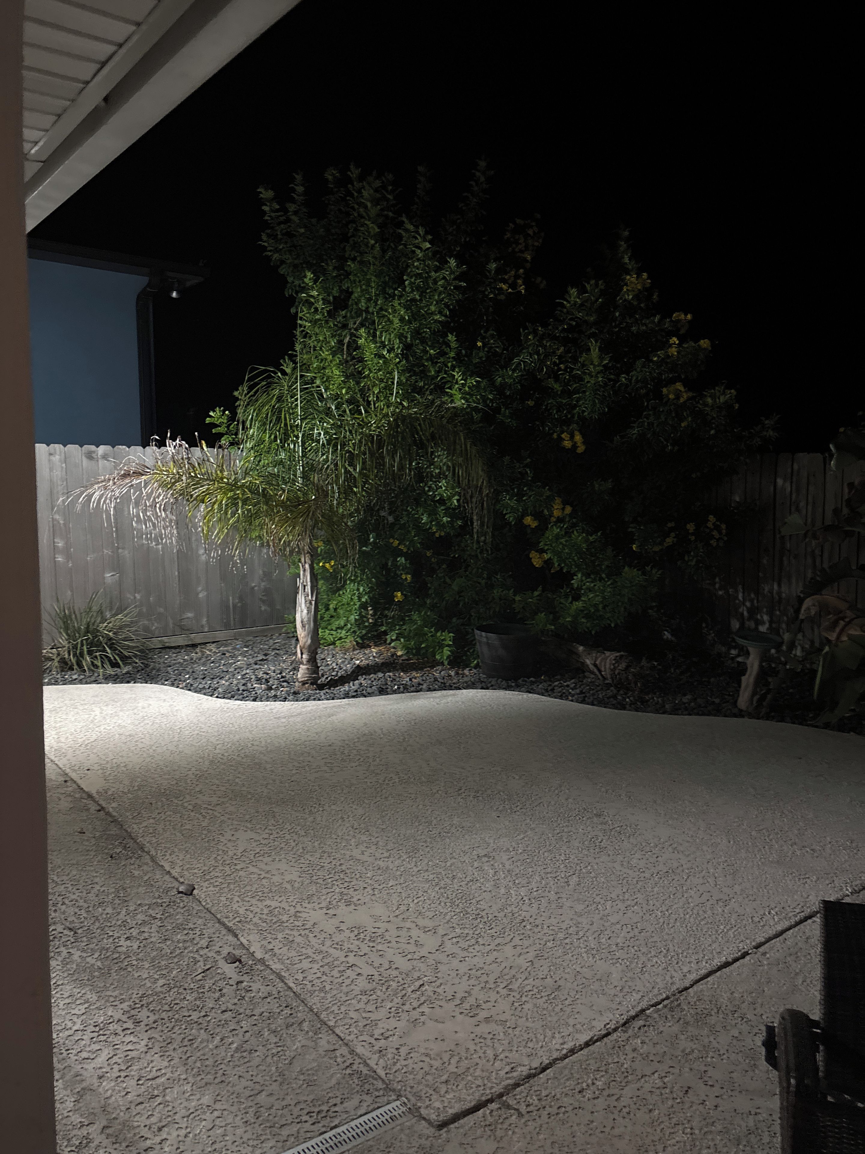 Un patio trasero con un árbol, una valla de madera y un patio de concreto.