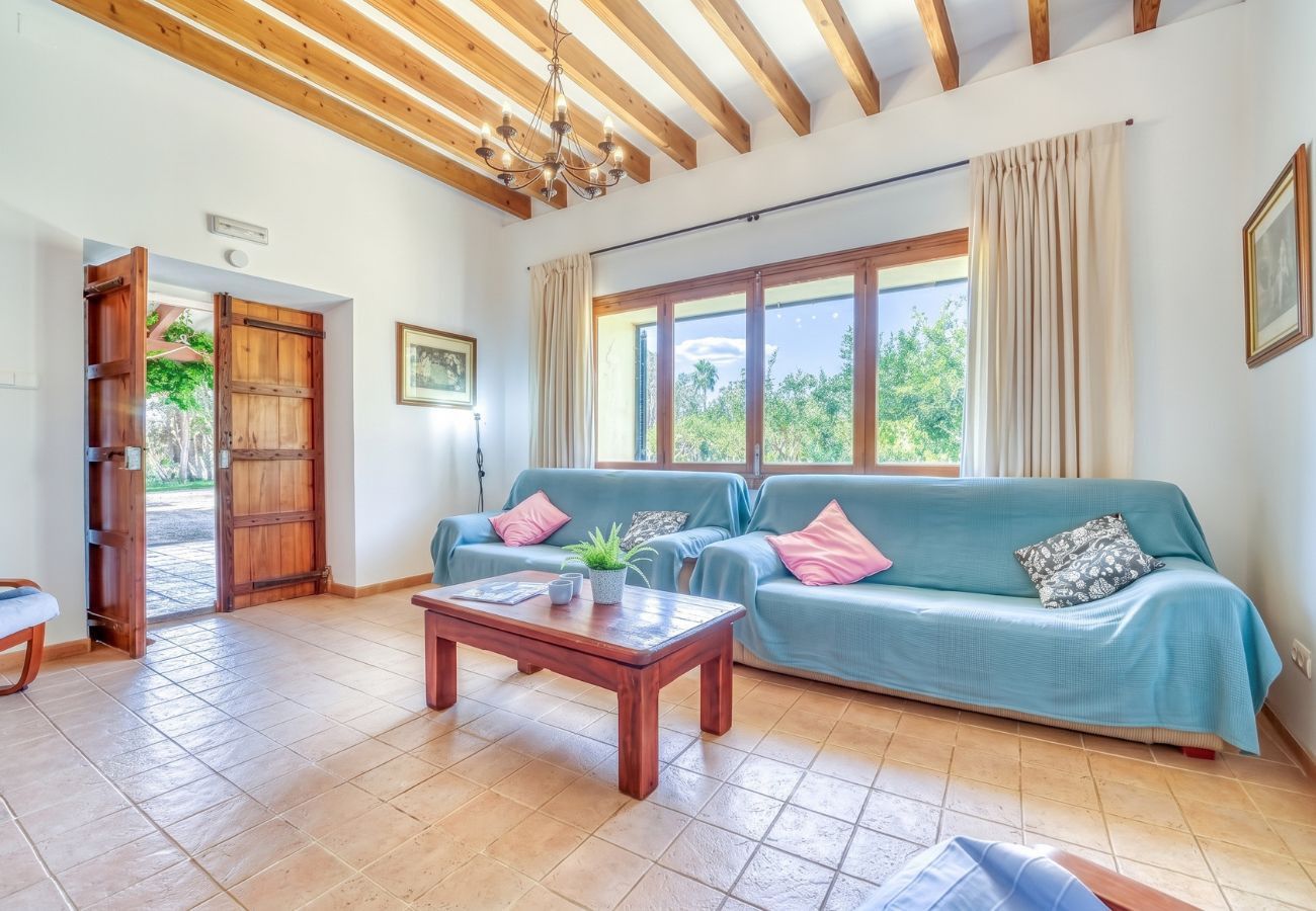 A spacious living room with a wooden ceiling, a large window with curtains, a blue sofa set, and a wooden coffee table.