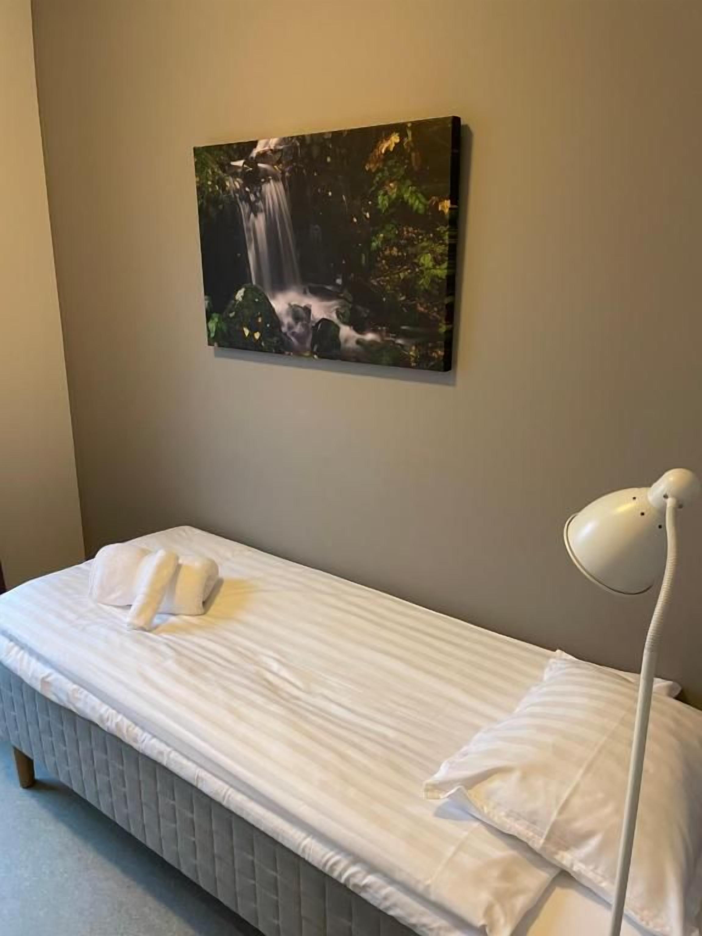 A single bed with white bedding, a wall-mounted painting of a waterfall, and a bedside lamp.