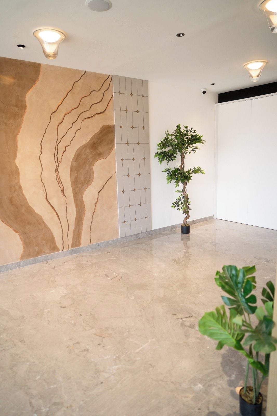 A modern interior with a textured wall, a potted plant, and a clean floor.