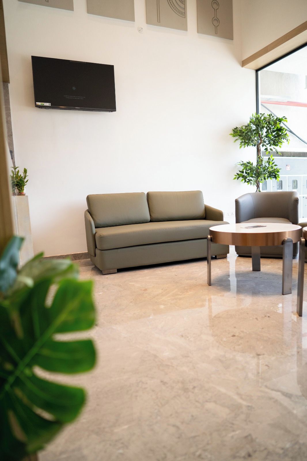 A modern living room with a sofa, a coffee table, and a potted plant.