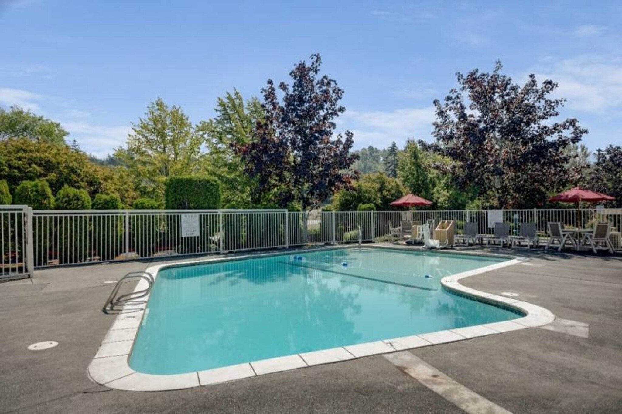 A rectangular swimming pool with a white border, surrounded by a metal fence.
